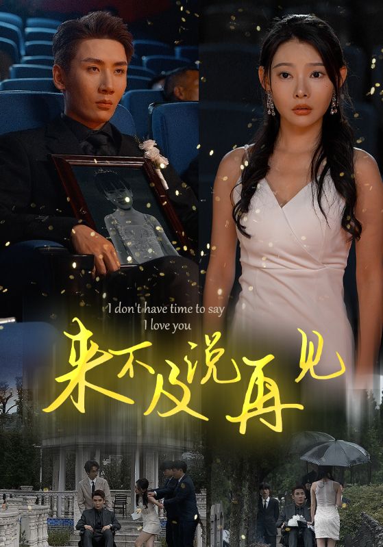 来不及说再见封面图
