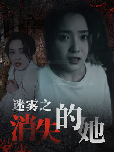迷雾之消失的她封面图