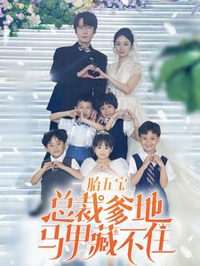 一胎五宝总裁爹地马甲藏不住封面图
