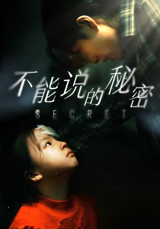 不能说的秘密封面图