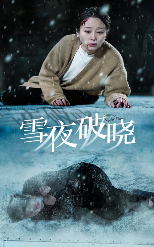 雪夜破晓封面图