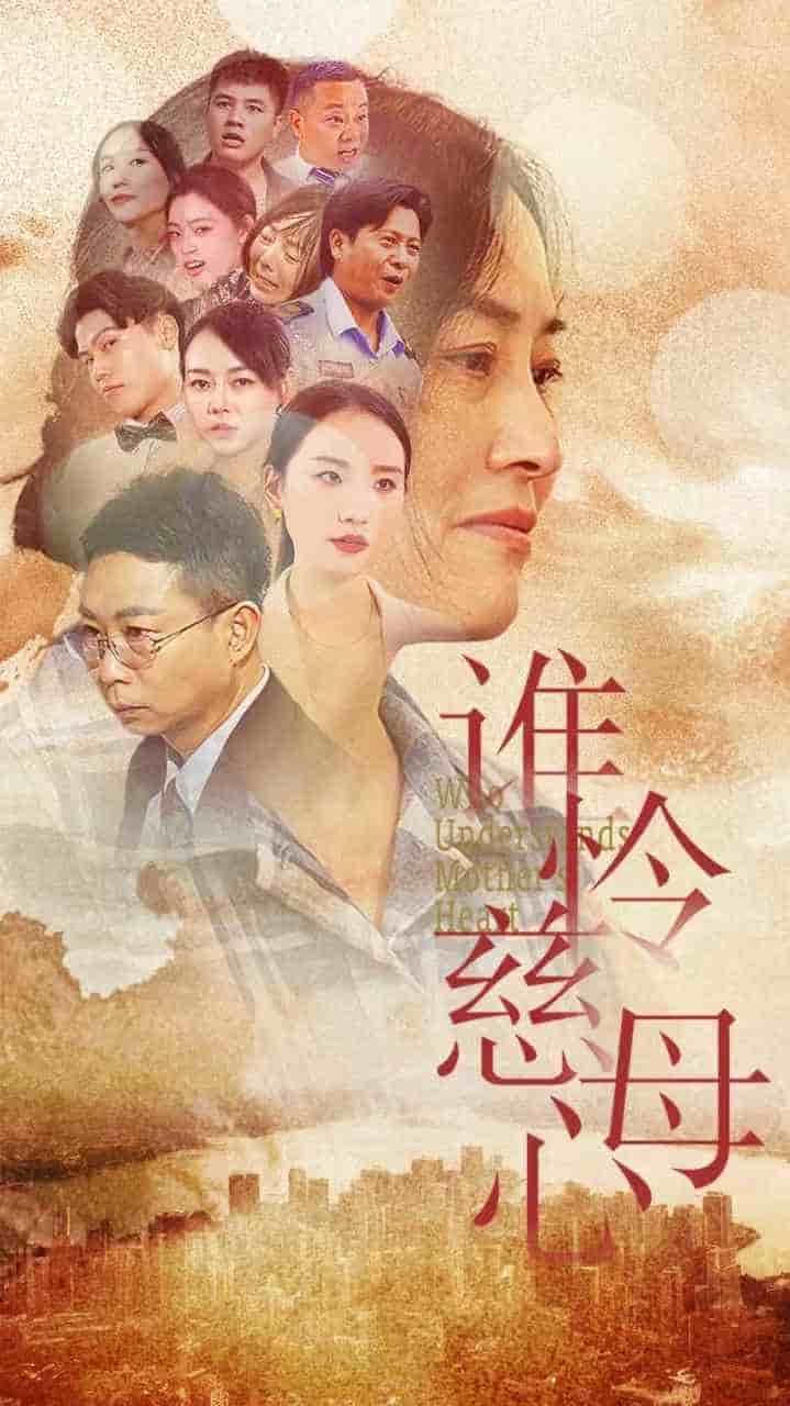 谁怜慈母心封面图