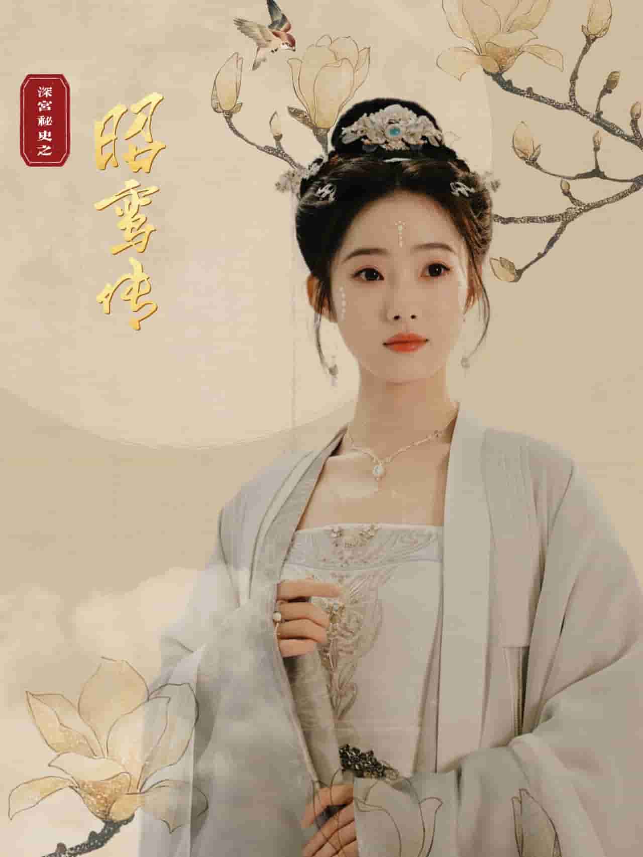 昭鸾传封面图