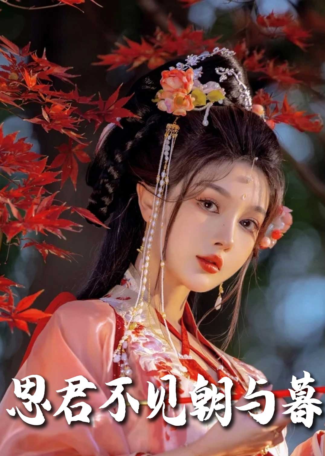 思君不见朝与暮封面图
