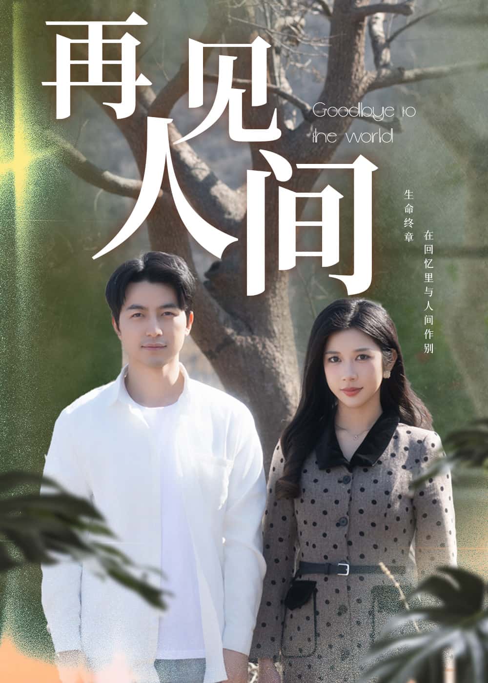 再见人间封面图