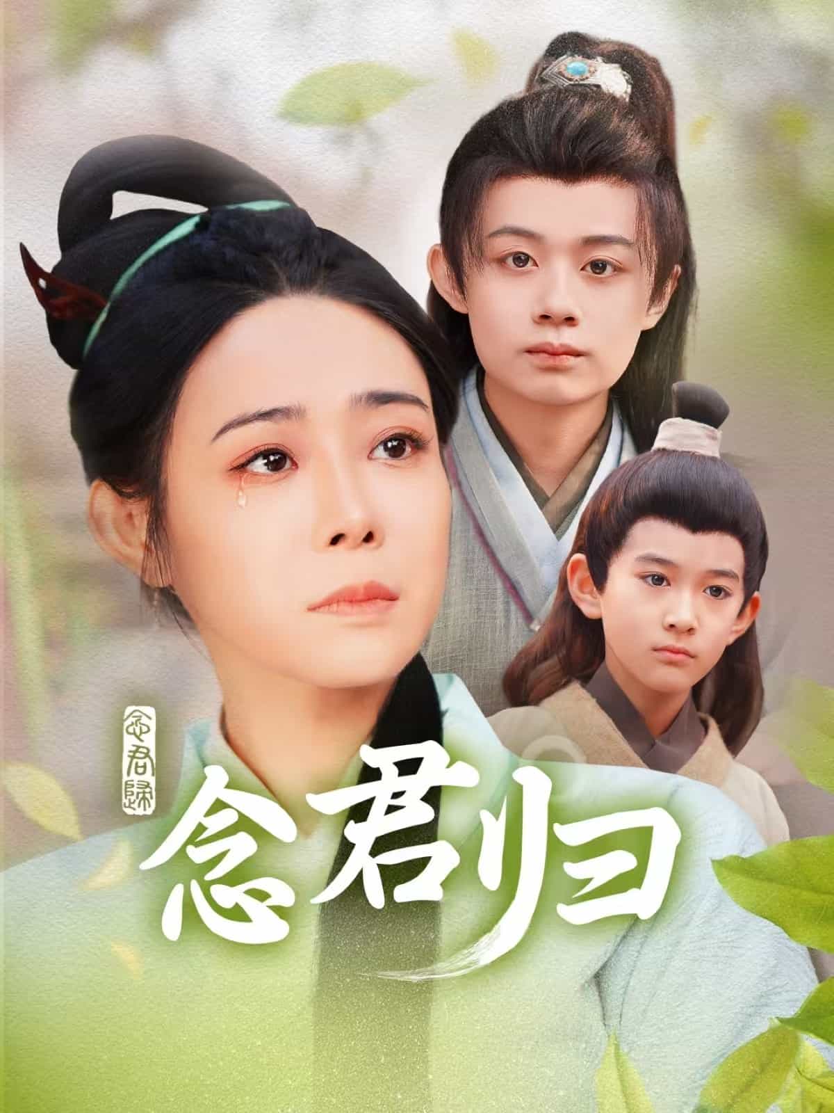 念君归封面图