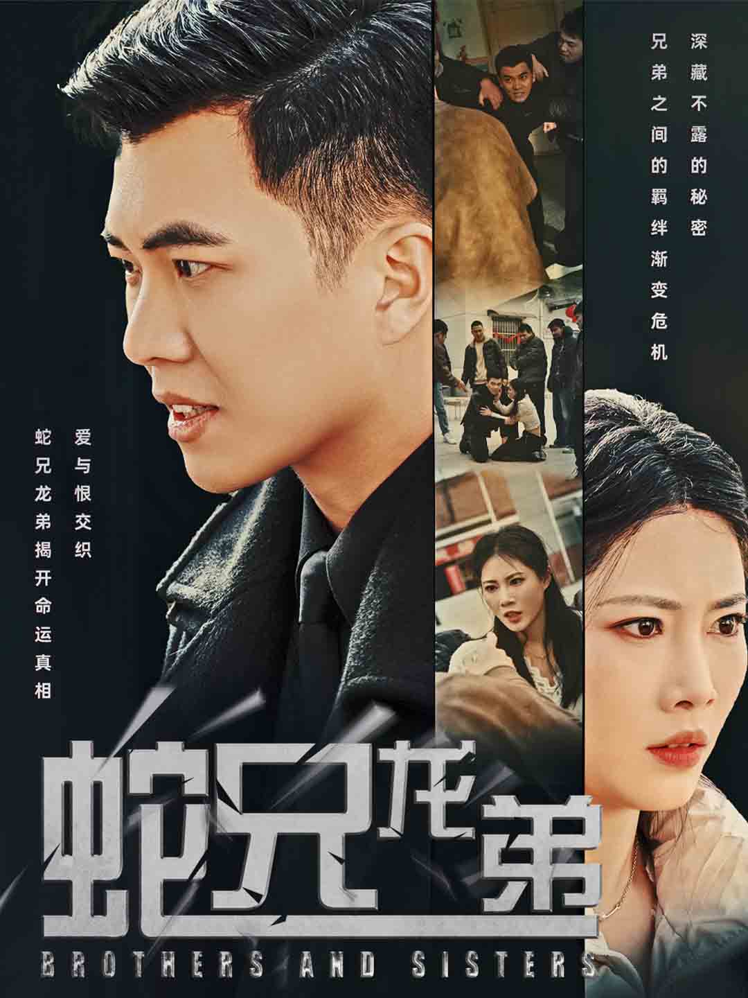 蛇兄龙弟封面图
