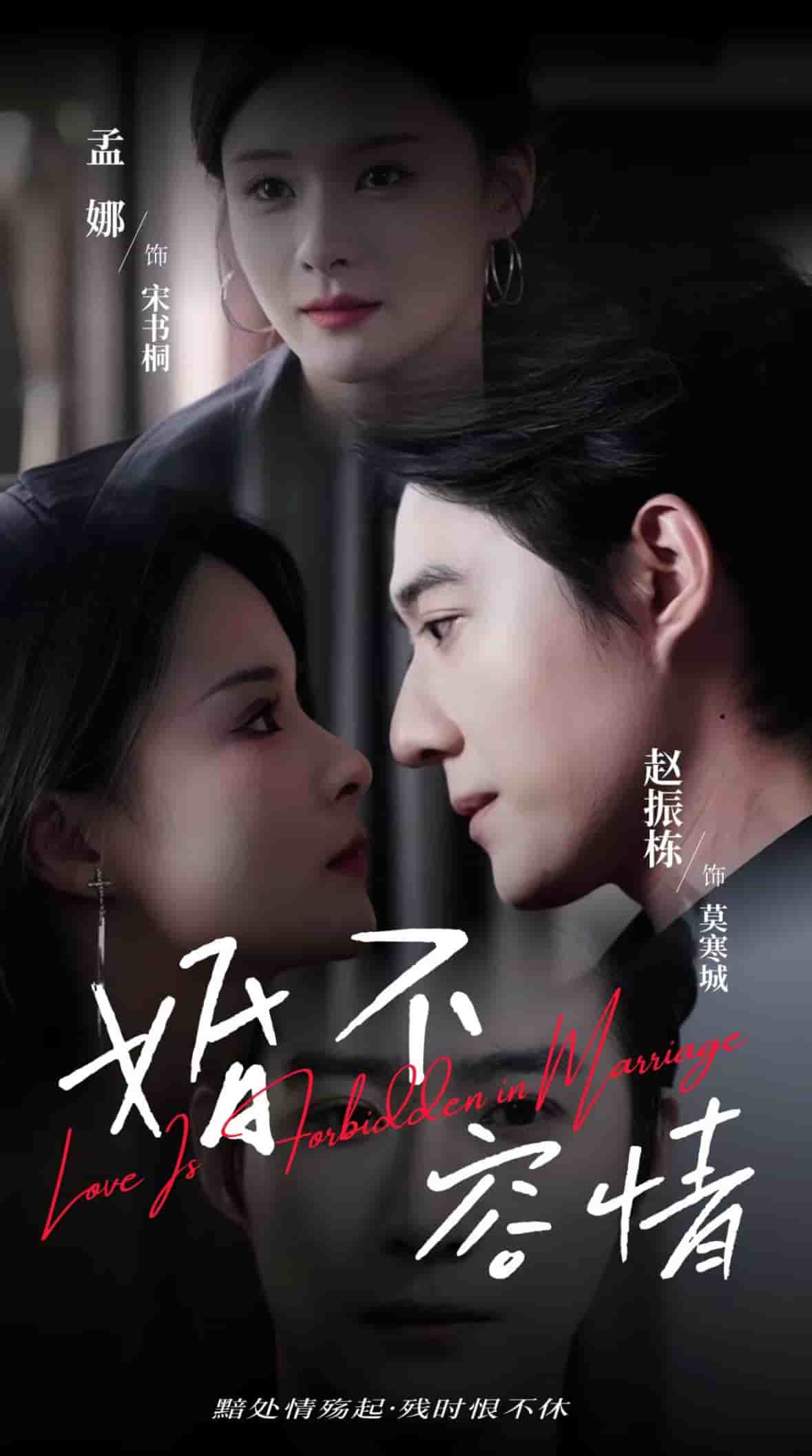 婚不容情封面图