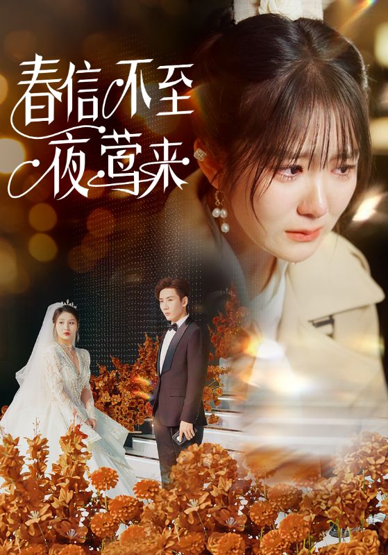 春信不至夜莺来封面图