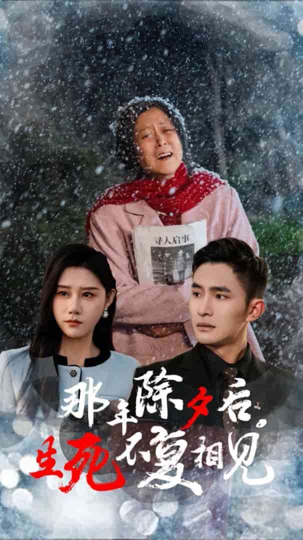 那年除夕后生死不复相见封面图