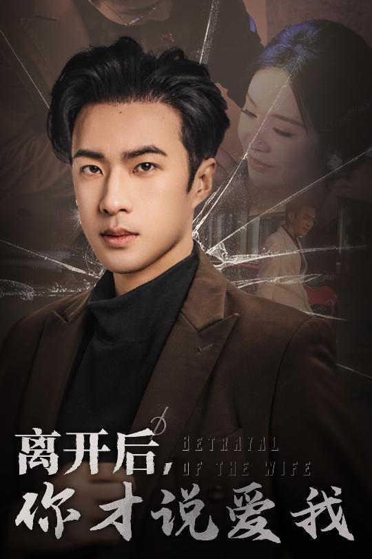 离开后，你才说爱我封面图