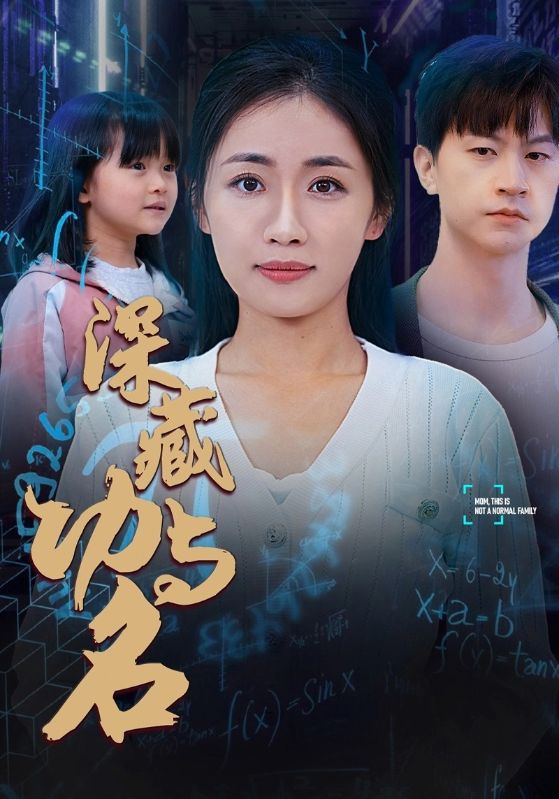 深藏功与名封面图