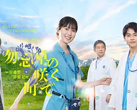 在勿忘草盛开的城镇～安昙野诊疗记～封面图
