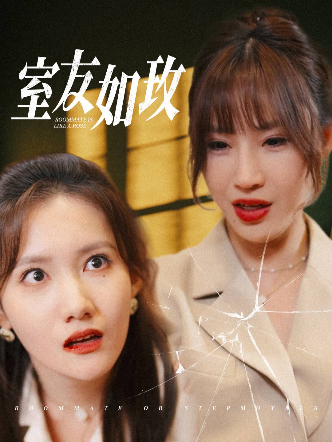 室友如玫封面图