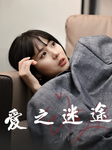 爱之迷途封面图