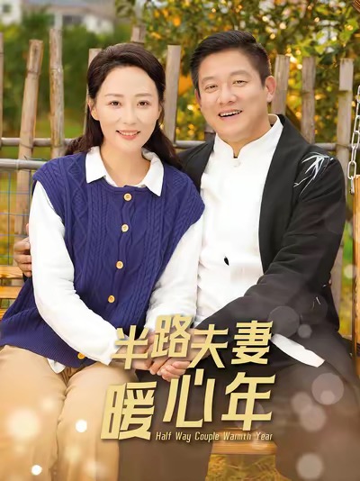 半路夫妻暖心年封面图