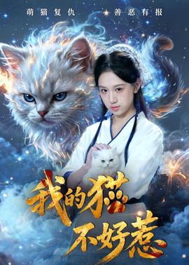 我的猫不好惹封面图