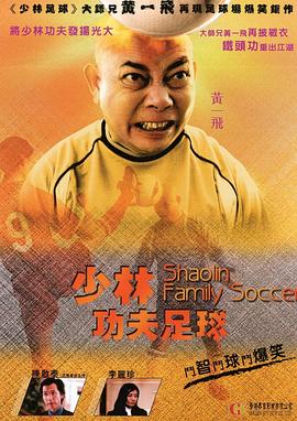 功夫老爸封面图