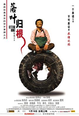 落叶归根封面图