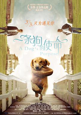 一条狗的使命国语封面图