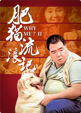 肥猫流浪记粤语封面图