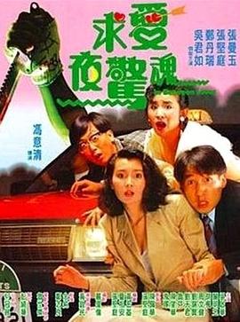 求爱夜惊魂国语封面图