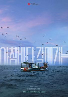 晨海的海鸥封面图