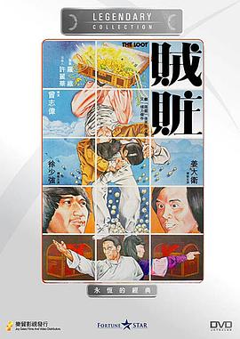 贼赃封面图