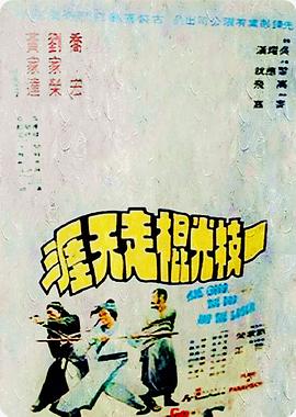一枝光棍走天涯国语封面图