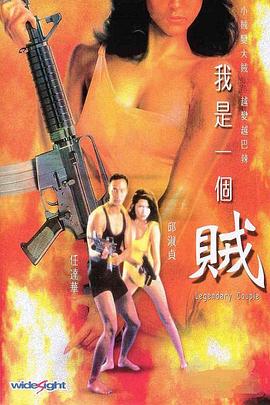 我是一个贼粤语封面图
