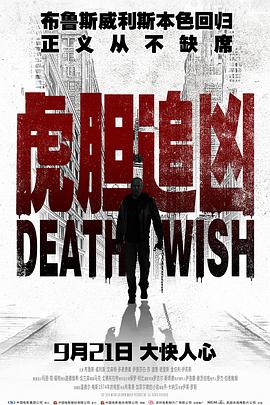 虎胆追凶国语封面图