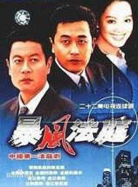 暴风法庭封面图