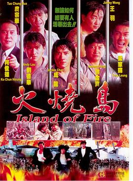 火烧岛粤语封面图