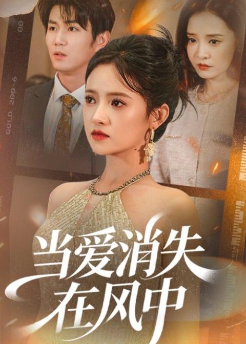 当爱消失在风中封面图