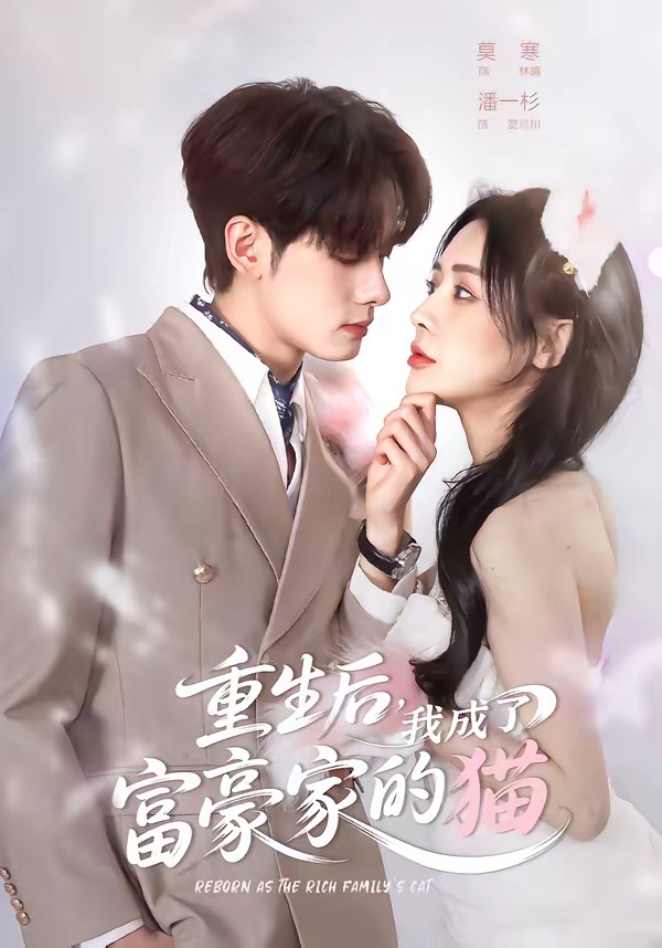 重生后，我成了富豪家的猫封面图