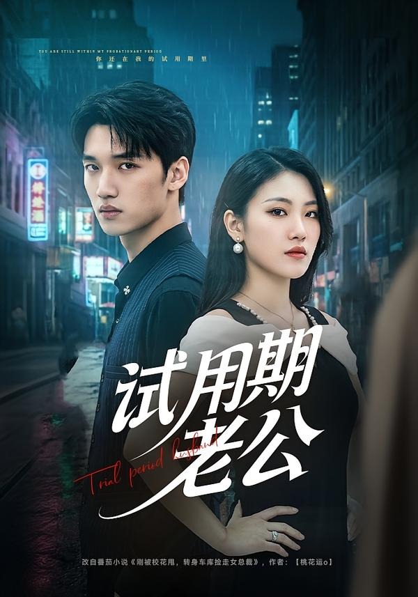 试用期老公封面图