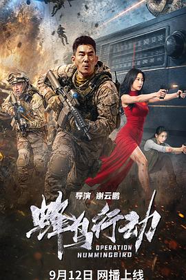 蜂鸟行动封面图